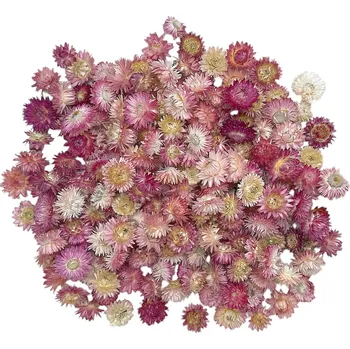 FLOWERIO Sušené sláměnky - hlavičky Helichrysum 100g - růžové