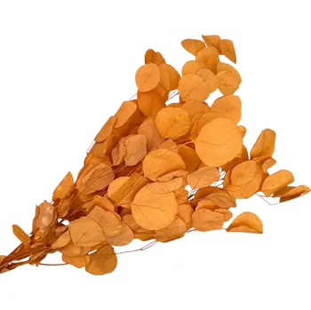 umělá květina FLOWERIO Stabilizované eukalyptové listy 100g - oranžové