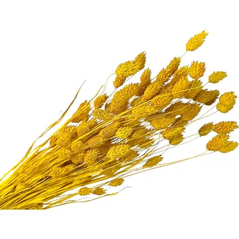 umělá květina FLOWERIO Sušená tráva Phalaris - Chrastice 100g - slunečnicově žlutá