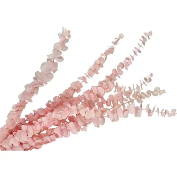 Svatební dekorace FLOWERIO Stabilizované eukalyptové listy Baby Blue - pudrově růžové