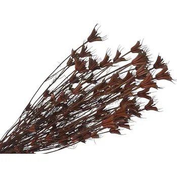 Koření FLOWERIO Sušené květy Černuška - Nigella orientalis 100g - hnědá