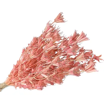 umělá květina FLOWERIO Sušené květy Černuška - Nigella orientalis 80g - světle růžové