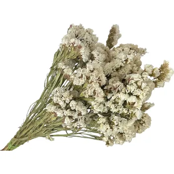 Svatební dekorace FLOWERIO Sušená limonka - Statice Limonium 100g - bílé