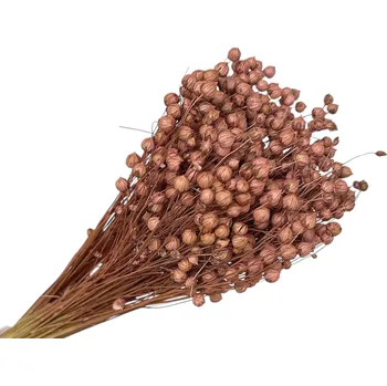 umělá květina FLOWERIO Sušený len - kytice cca 100g - BOHO hnědorůžový