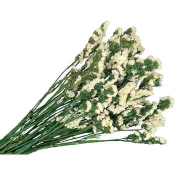 FLOWERIO Stabilizované květy Statice Limonium sinuata 120g - krémově bílé