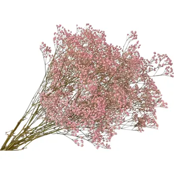 Svatební dekorace FLOWERIO Stabilizovaná Gypsophila - Nevěstin závoj 80g - růžový