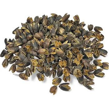 Sušené ovoce FLOWERIO Sušené plody Bakuli 450g - přírodní hnědé