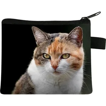 Peněženka Dětská peněženka s motivem kočky - 03