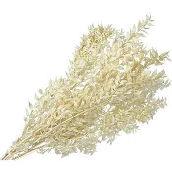 umělá květina FLOWERIO Stabilizované listy Ruscus 200g - bělené