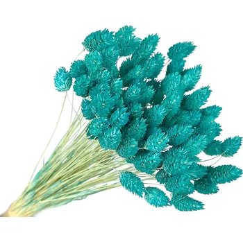 umělá květina FLOWERIO Sušená tráva Phalaris - Chrastice 80g - azurová