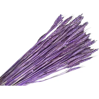 umělá květina FLOWERIO Sušené klasy pšeničné 150 g – fialové