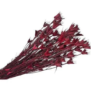 Koření FLOWERIO Sušené květy Černucha - Nigella orientalis 100g - bordová