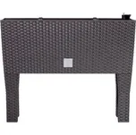 truhlík RATO CASE HIGH 60x25x46cm HN tm. (440U)