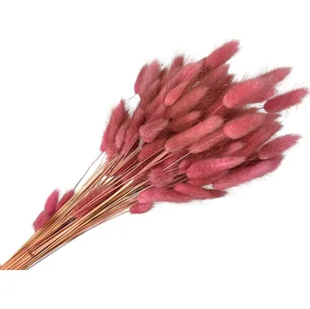 FLOWERIO Sušená tráva Lagurus - zaječí ocásek 50g - starorůžová