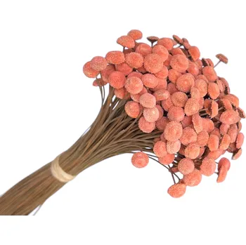 Jedlá dekorace na dort FLOWERIO Sušené květiny Botao Amarelino 80g - meruňkové