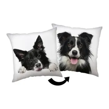 Polštář Jerry Fabrics Polštářek Border Kolie 40x40 cm