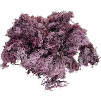 umělá květina FLOWERIO Islandský lišejník, sobí mech 250g - růžovo-fialový