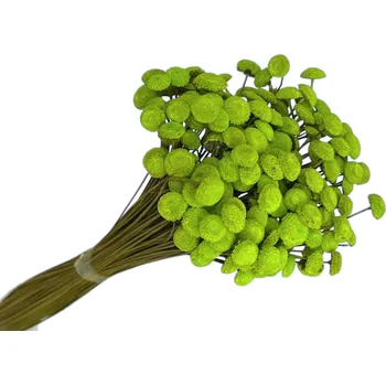 Jedlá dekorace na dort FLOWERIO Sušené květiny Botao Amarelino 80g - světle zelené