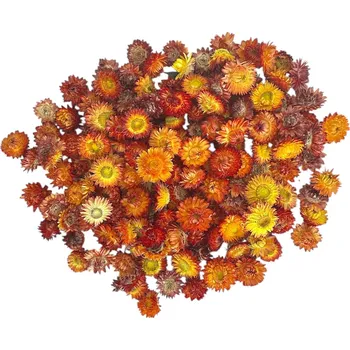 FLOWERIO Sušené slaměnky - hlavičky Helichrysum 100g - oranžový mix