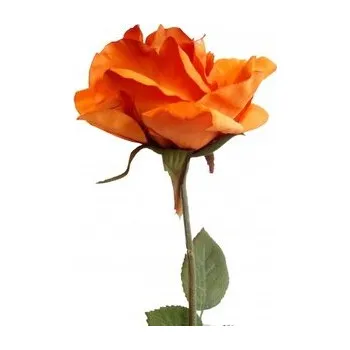 umělá květina Růže oranžová 100-0020/oranž