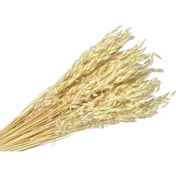 umělá květina FLOWERIO Sušený aranžérský oves - klasy 150g - bělený