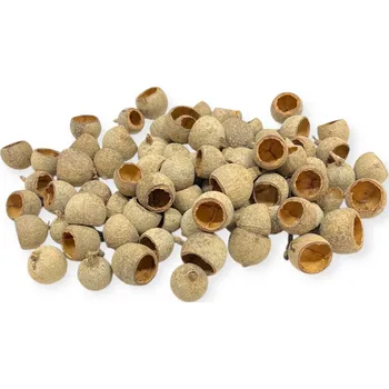 Sušené ovoce FLOWERIO Sušené plody Bell Cup mini 280g - přírodní