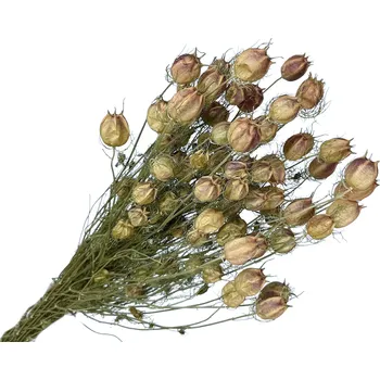 Koření FLOWERIO Sušené květy Černuška - Nigella damascena 100g - přírodní