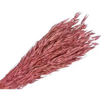 Svatební dekorace FLOWERIO Sušený aranžérský oves - klasy 150g - růžové