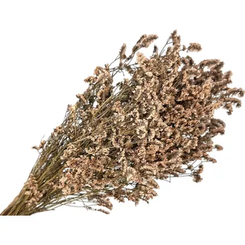FLOWERIO Stabilizované květy Limonium sinensis 100g - béžové