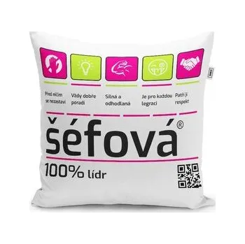 Polštář Šéfová: 40x40 cm