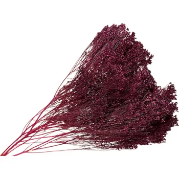 umělá květina FLOWERIO Sušené květy Broom Bloom kytice 100g - tmavé vínové