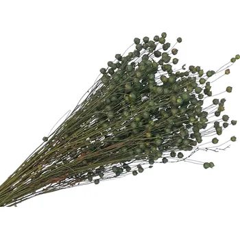 FLOWERIO Sušený len - kytice cca 100g - mechově zelený