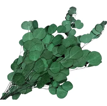 umělá květina FLOWERIO Stabilizované eukalyptové listy Populus 100g - tmavě zelené