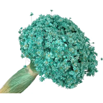 FLOWERIO Sušené květiny Glixia Marcela 75g - tyrkysová