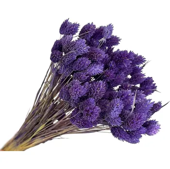 umělá květina FLOWERIO Sušená tráva Phalaris - Chrastice 80g - tmavě fialová