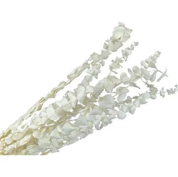 Svatební dekorace FLOWERIO Stabilizované eukalyptové listy Baby Blue - bělené