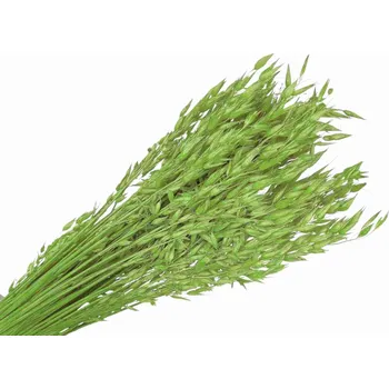 umělá květina FLOWERIO Sušený aranžérský oves - klasy 150g - světle zelené