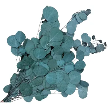 umělá květina FLOWERIO Stabilizované eukalyptové listy 100g - modrozelené