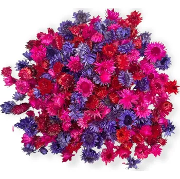 umělá květina FLOWERIO Sušené slaměnky - hlavičky Helichrysum 100g - fialovo cyklámenové
