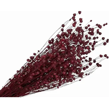 umělá květina FLOWERIO Sušený len - kytice cca 100g - bordó