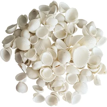 Knorr Prandell Přírodní mořské mušle 250g - bílé