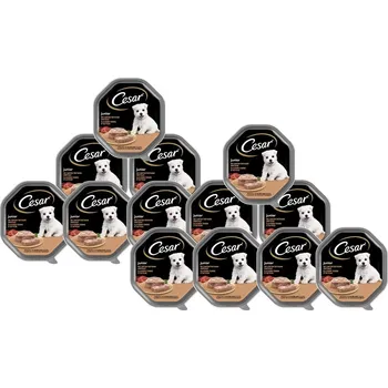 Krmivo pro psa CESAR Junior miska 14x150g – kompletní mokré krmivo pro štěňata, s krůtím masem a telecím masem, v paštice