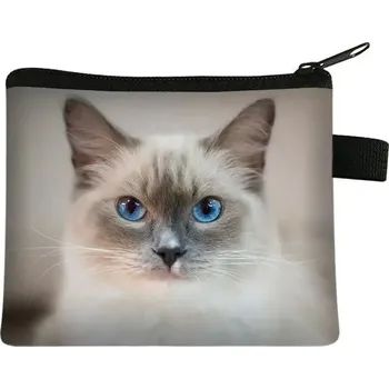 Peněženka Dětská peněženka s motivem kočky - 13