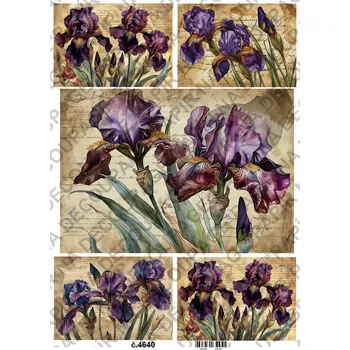 Umělecký papír Rýžový a soft papír na decoupage - Kosatce - KB4640 Materiál: Soft, Rozměr: A4