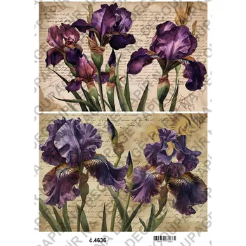 Umělecký papír Rýžový a soft papír na decoupage - Kosatce - KB4636 Materiál: Soft, Rozměr: A4