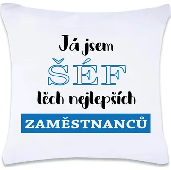 Dekorativní polštářek DOBRÝ TRIKO Polštář s potiskem 40 x 40 cm Šéf zaměstnanců Oboustranný tisk: NE