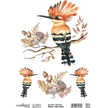 Výtvarná sada Transferový obrázek Cadence Easy Transfer, 25x35 cm - Dudek