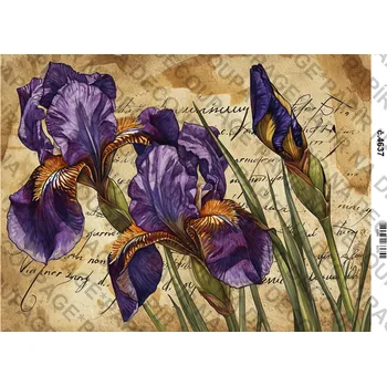 Umělecký papír Rýžový a soft papír na decoupage - Kosatce - KB4637 Materiál: Soft, Rozměr: A4