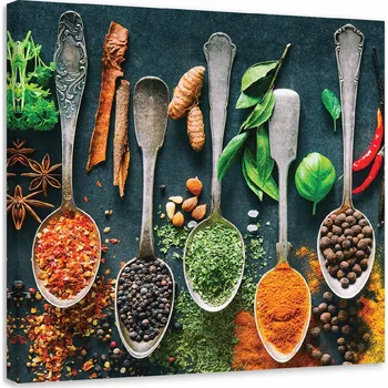 Obraz OBRAZ DO KUCHYNĚ Bylinky koření do kuchyně 30x30