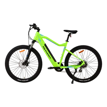 Sport MS ENERGY eBike m11